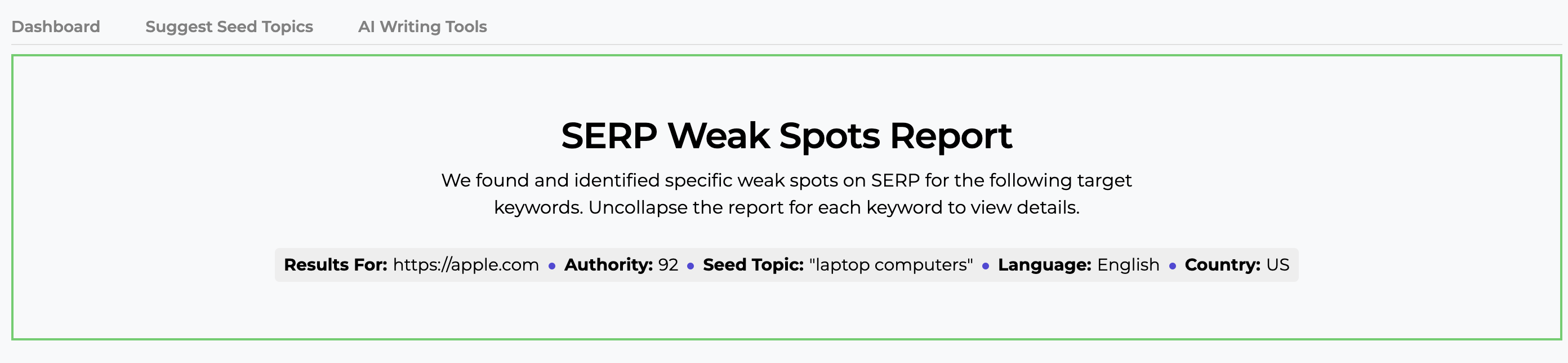 An example of the overview in the SERP Gap Analyzer after accessing a specific analysis.