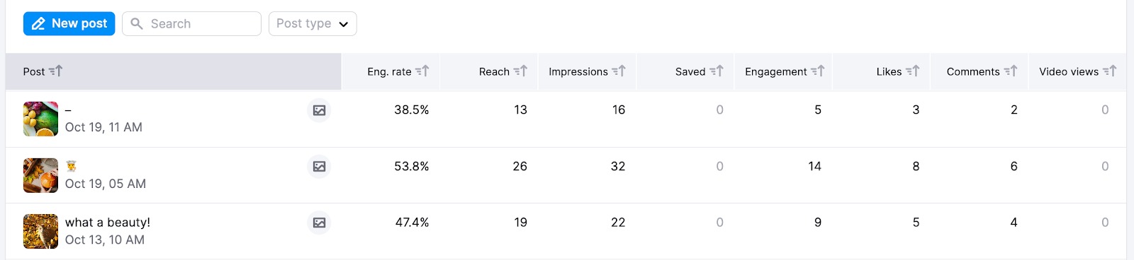 The list of posts in the Post tab in the Instagram report in Social Analytics.