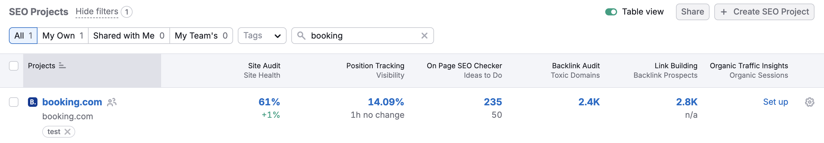 An example of a project in the SEO projects widget. 