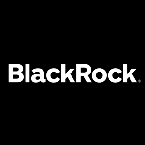 blackrock.com Favicon