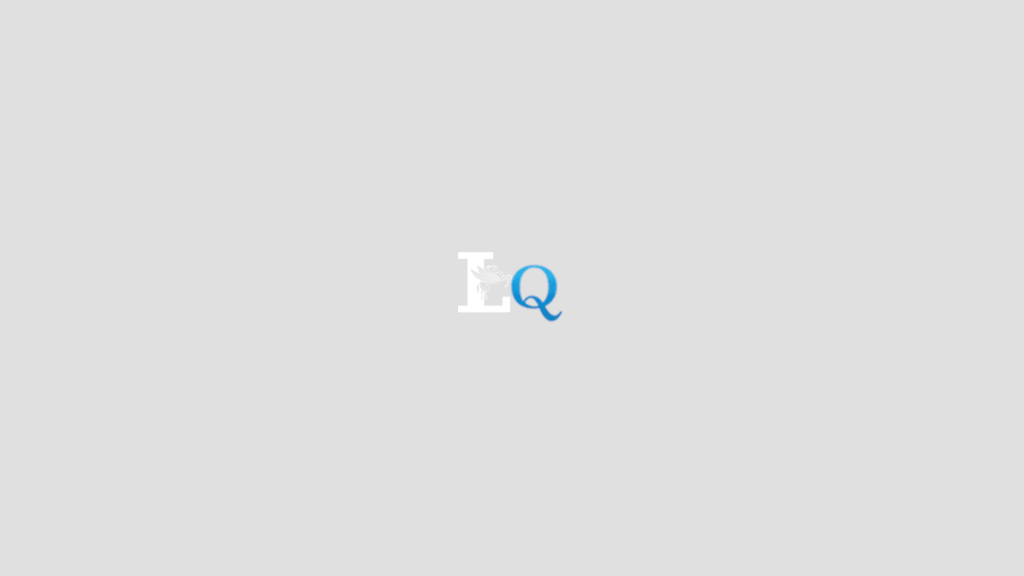 liberoquotidiano.it favicon